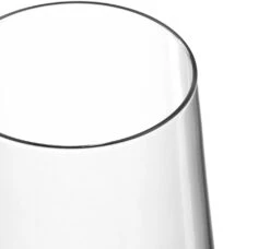 Leonardo Champagneglazen Puccini - 280 Ml - 6 Stuks 12 Leonardo Champagneglazen Puccini - 280 Ml - 6 Stuks -Keukengerei Winkel 069550 4 K 3000x