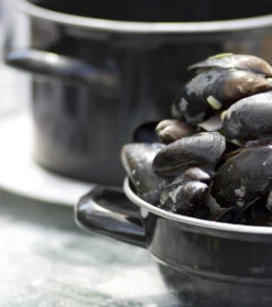 Cosy & Trendy Mosselpan - Zwart - ø 12 Cm / 900 Ml -Keukengerei Winkel 111 PUNT 012