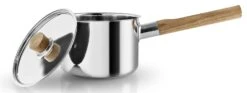 Eva Solo Steelpan Nordic Kitchen RVS - ø 16 Cm / 2.0 Liter -Keukengerei Winkel 281220 Saucepan 20l 16cm 2 HIGH