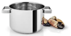 Eva Solo Kookpan Nordic Kitchen RVS - ø 20 Cm / 4 Liter -Keukengerei Winkel 281240 Nordic Kitchen Pot 4l 20cm regi HIGH