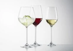 Schott Zwiesel Wijnglazen Fortissimo - Set 18 Delig - Witte En Rode Wijnglazen & Gin Tonic Glazen -Keukengerei Winkel 4001836085601 schott zwiesel fortissimo 1