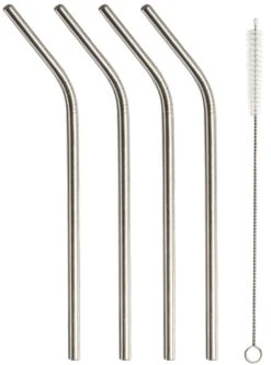 Sareva Herbruikbare Rietjes - Met Borstel - RVS - Gebogen - 4 Stuks -Keukengerei Winkel Sareva Rietjes gebogen RVS