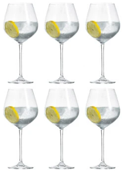 Schott Zwiesel Wijnglazen Fortissimo - Set 18 Delig - Witte En Rode Wijnglazen & Gin Tonic Glazen -Keukengerei Winkel Schott Zwiesel Gin Tonic Glazen Fortissimo 740 ml 6 Stuks