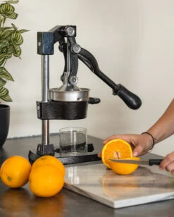 Sareva Citruspers - Gietijzer - Hevelmodel - Zwart -Keukengerei Winkel citruspers 2 1