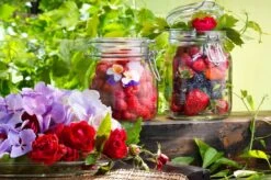 Bormioli Rocco Weckpot Fido 11 X 11 Cm / 1.5 Liter -Keukengerei Winkel e000316 3