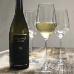 Schott Zwiesel Witte Wijnglazen Fortissimo - 420 Ml - 6 Stuks -Keukengerei Winkel for20blanc