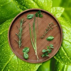 ASA Selection Pizzabord / Onderbord Wood ø 30 Cm -Keukengerei Winkel grande wood holzteller kraeuter 2 2