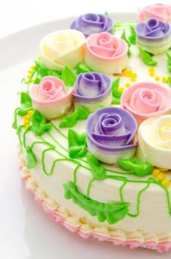 Patisse Springvorm Silver Top ø 16 Cm -Keukengerei Winkel patisse vlaai taart sfeer