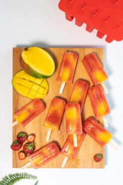 Sareva IJsjesmaker - 10 Ijsjes - Rood - Siliconen - Easy Release - Herbruikbaar -Keukengerei Winkel sareva ijsjesmaker 1